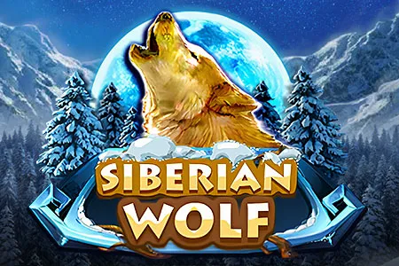 Siberian Wolf